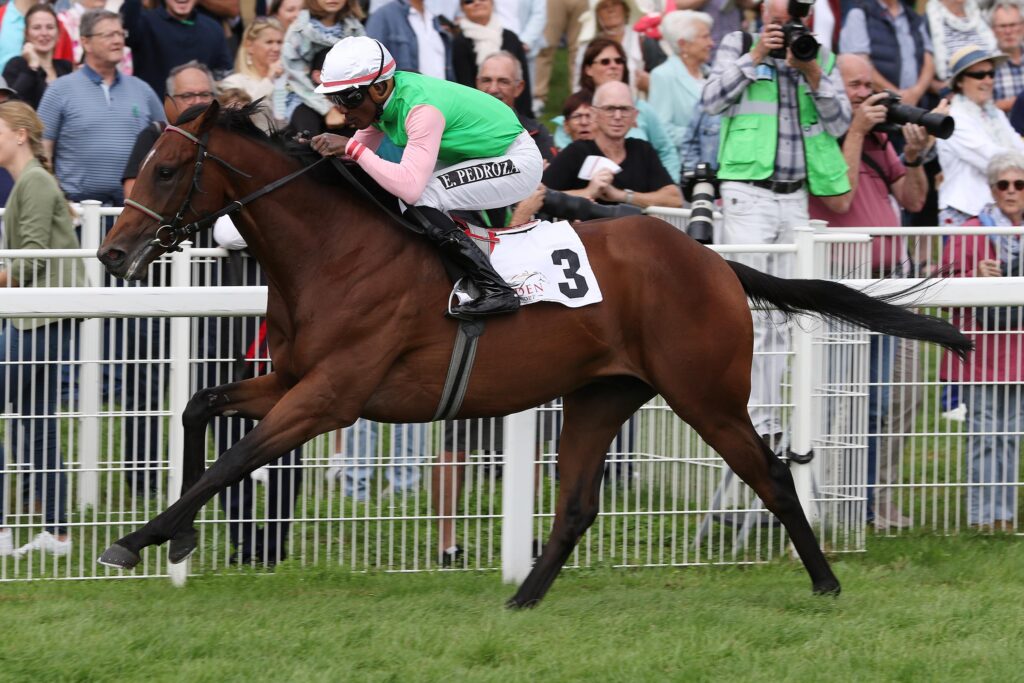 Neuer Champion in Köln