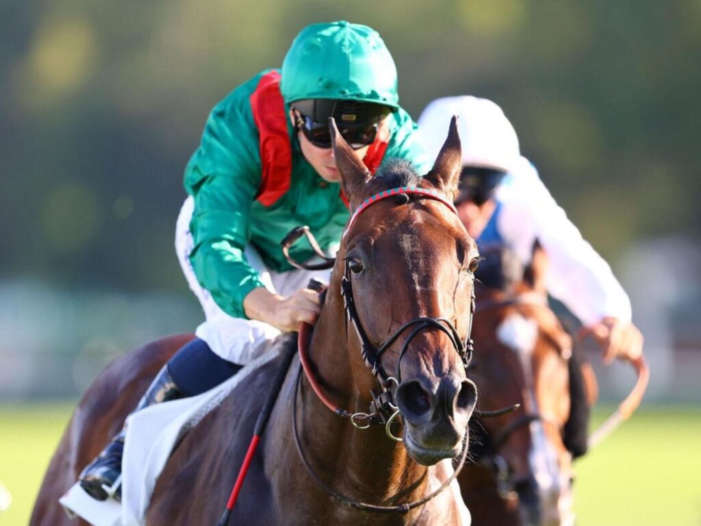 Sensationeller Triumph in Köln!